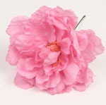 Peony Valencia. Flamenco Flowers. Magenta. 12cm 3.265€ #504190135MGNT